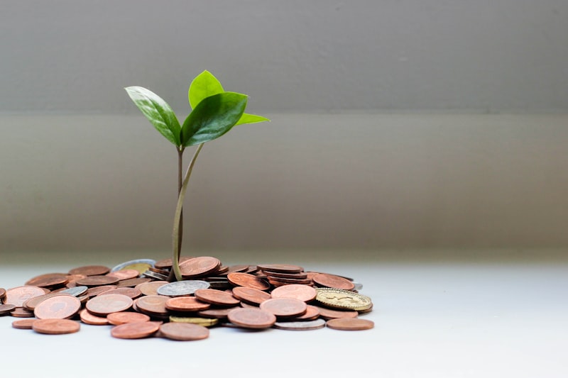 Midcap Opportunity Strategy